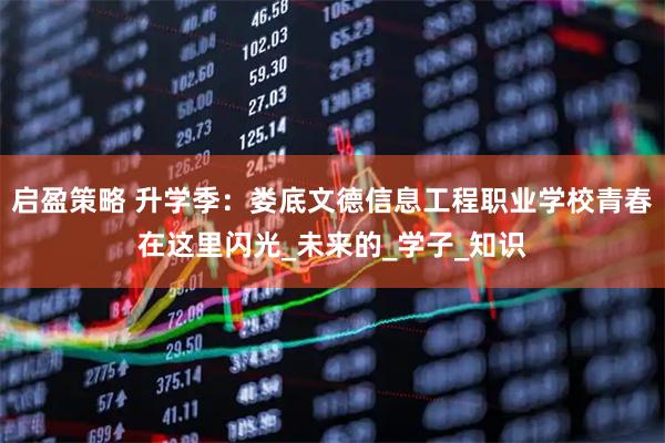 启盈策略 升学季：娄底文德信息工程职业学校青春在这里闪光_未来的_学子_知识